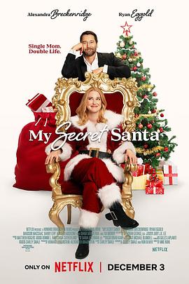 我的秘密圣诞老人