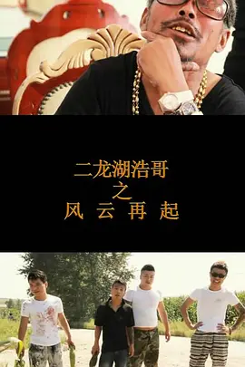 二龙湖浩哥之风云再起[电影解说]